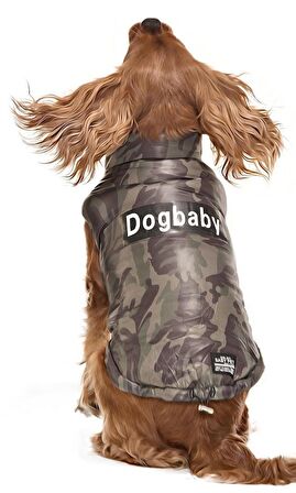 Küçük ve Orta Irk Köpek Mont Lebu