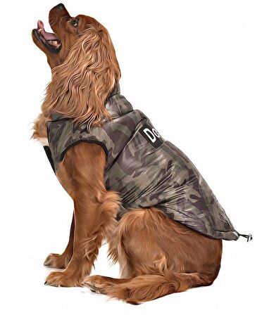 Küçük ve Orta Irk Köpek Mont Lebu