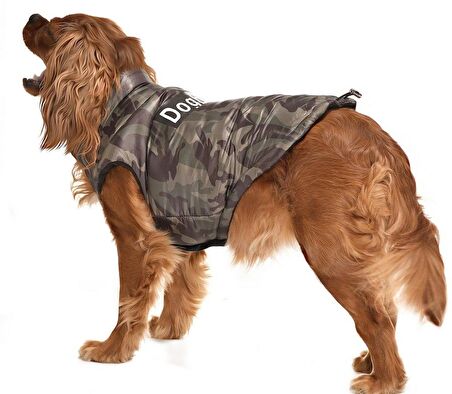 Küçük ve Orta Irk Köpek Mont Lebu