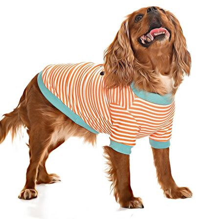 Küçük ve Orta Irk Köpek Sweatshirt - Pabo - Köpek Kıyafeti
