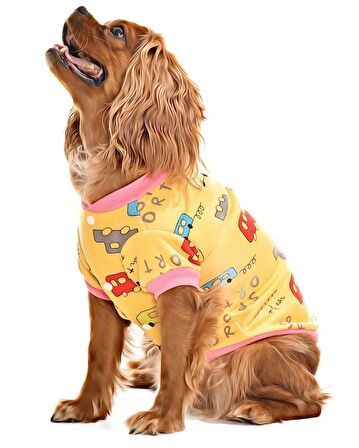 Küçük ve Orta Irk Köpek Sweater - Bargum