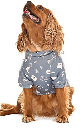 Küçük ve Orta Irk Köpek Sweater - Grube