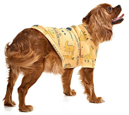 Küçük ve Orta Irk Köpek Sweater - Kindia