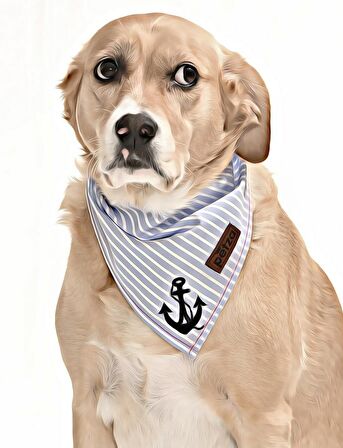 Köpek Bandana / Brina