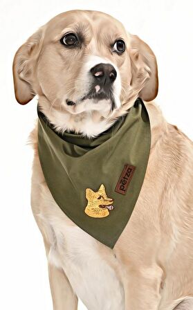 Köpek Bandana / Gurre