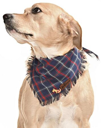 Köpek Bandana / Virket