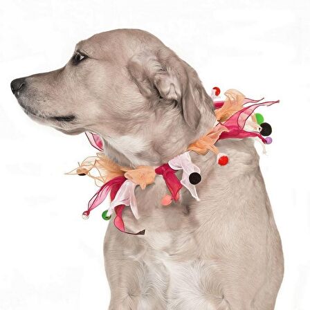 Köpek Lastikli Ponpon Yakalık Mudi