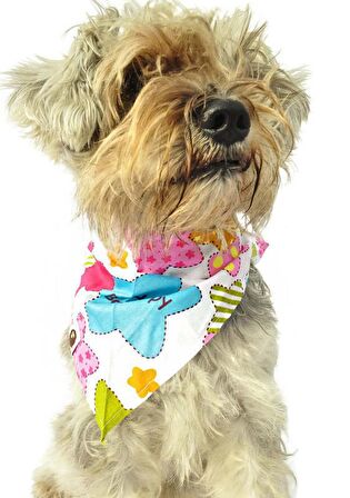 Köpek Bandana / Sander