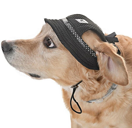 Küçük ve Orta Irk Köpekler için Şapka Meloni - Siyah