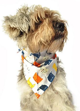 Köpek Bandana / Yuni