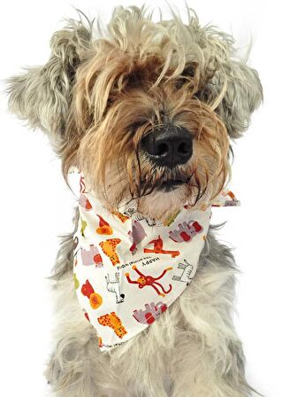 Köpek Bandana / Nitza