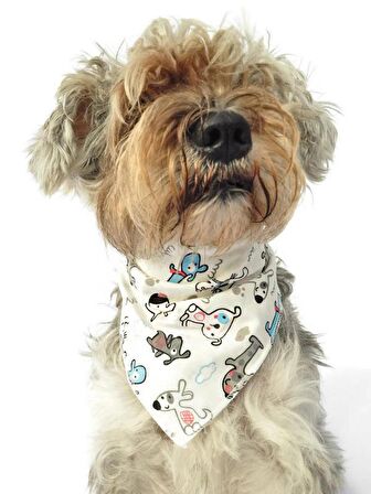 Köpek Bandana / Yasuri