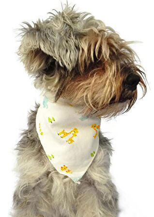 Köpek Bandana / Mitzi