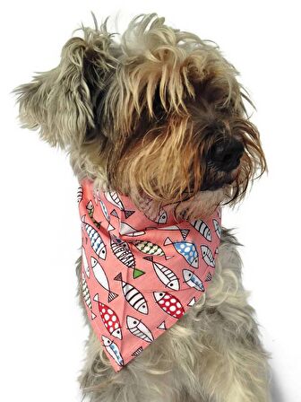 Köpek Bandana / Mayumi
