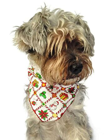 Köpek Bandana / Olger
