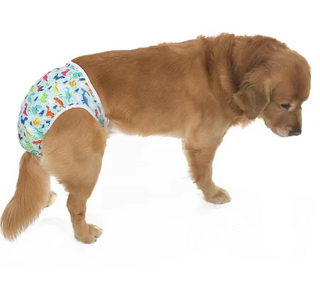 Köpek Çamaşır BarkBoxer Küçük, Orta ve Büyük Irk Köpekler için