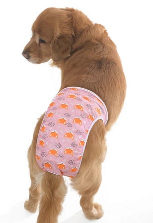 Köpek Çamaşır Woofa Küçük, Orta ve Büyük Irk Köpekler için