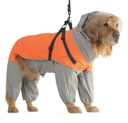 Köpek Paçalı Yağmurluk Canora Göğüs Tasmalı ve Siperli