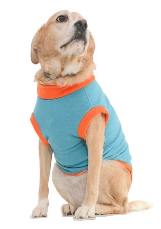 Köpek Sweater Blazion Turkuaz