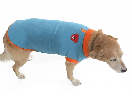 Köpek Sweater Blazion Turkuaz
