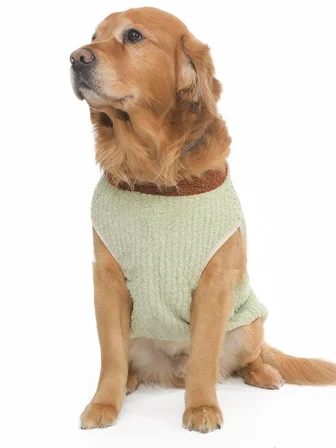Köpek Sweater Lionzy Orta ve Büyük Irk Köpekler için