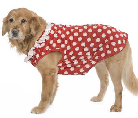 Köpek Sweater SnugDot Orta ve Büyük Irk Köpekler için