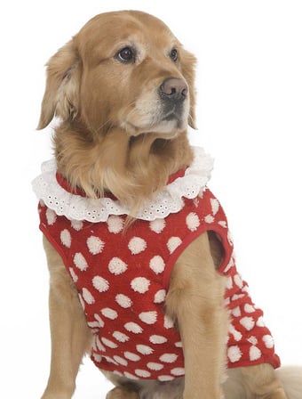 Köpek Sweater SnugDot Orta ve Büyük Irk Köpekler için