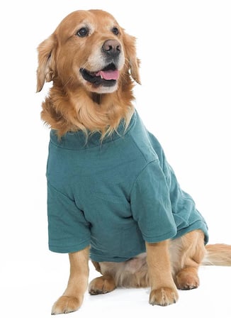 Köpek Sweater Zuno