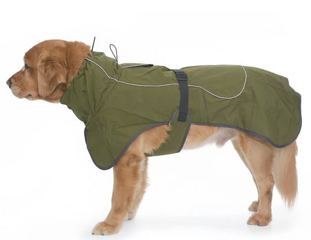 Köpek Trench Coat Pawch Orta ve Büyük Irk Köpekler için