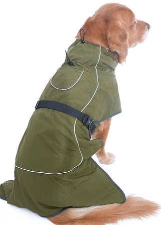 Köpek Trench Coat Pawch Orta ve Büyük Irk Köpekler için