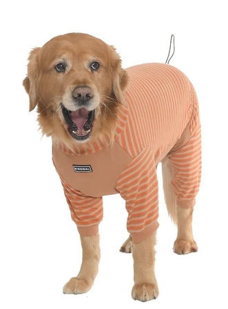 Köpek Tulum SnugSuit Turuncu