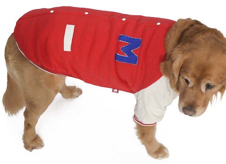 Köpek Sweatshirt Bark Yankees