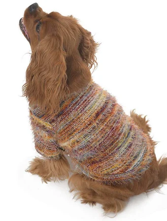 Köpek Kazak Boho