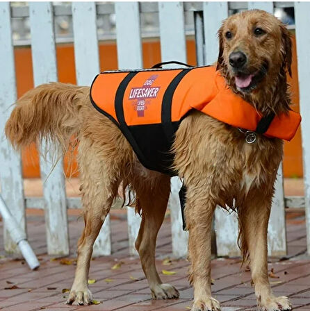 Köpek Can Yeleği Tonder