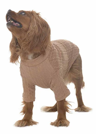 Köpek Triko Boho