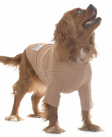 Köpek Triko Boho