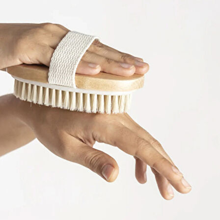 At Kılı Vücut Fırçası