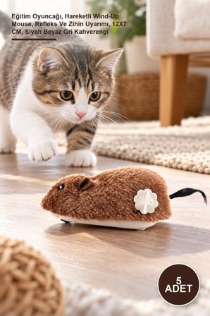 5 Adet Kurmalı Fare Kedi Oyuncağı – Eğitim Oyuncağı, Hareketli Wind-Up Mouse, Refleks Ve Zihin Uyarımı, 12X7 CM, Siyah Beyaz Gri Kahverengi