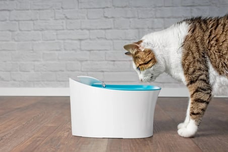 Özel Üretim Sessiz Motorlu 25 Litre Aktif Karbon Filtreli Ledli Akıllı Otomatik Uyarılı Kedi Köpek S
