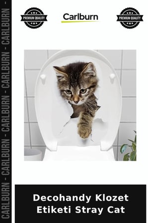 Decohandy Klozet Etiketi Stray Cat Ev Hediyesi Duvar Süsü Modern Dokunuş