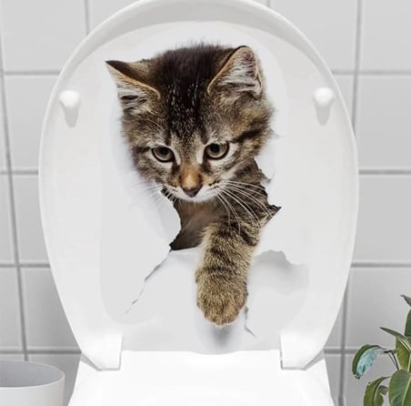 Decohandy Klozet Etiketi Stray Cat Ev Hediyesi Duvar Süsü Modern Dokunuş