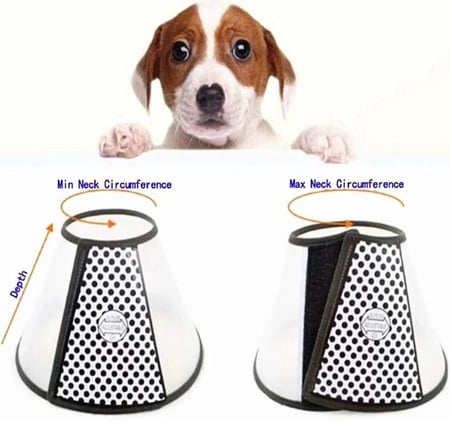 Özel Üretim Kedi Köpek Tasması Veteriner Yakası Ayarlanabilir Koruyucu Yaka 2 Numara