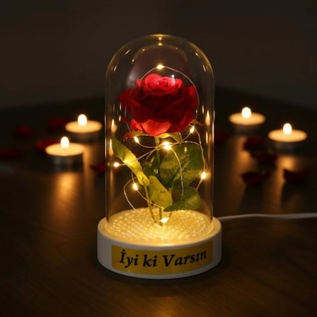 #Fanus Zarif Romantik Gün Işığı Dekoratif Yapay Gül İnci Detaylı Şeffaf Fanus İncili Ledli Gül Fanus