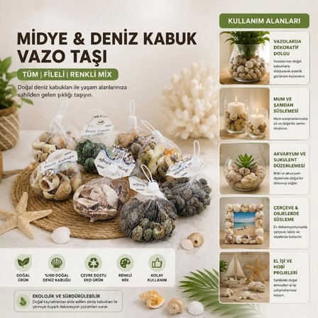 Özel Üretim Doğal Marin Ekolojik Dekoratif Vazo Taşı Midye Deniz Kabuğu Fileli Renkli Mix