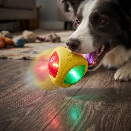 Delux Serisi Işıklı Köpek Isırma Topu - Sesli Oyuncak Aktivite Hareket Can Dost