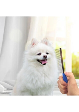 Bak Gel Al Tüy Açıcı Kedi Köpek Tarağı Tek Taraflı Metal Dişli Evcil Hayvan Bakım Fırçası
