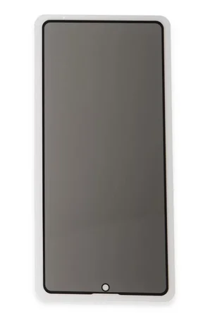 Newface Samsung Galaxy S24 3D Antistatik Hayalet Cam Ekran Koruyucu