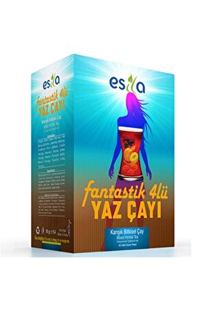 ESİLA - Fantastik Dörtlü Yaz Karışık Bitki Süzen Poşet Çay 45 li