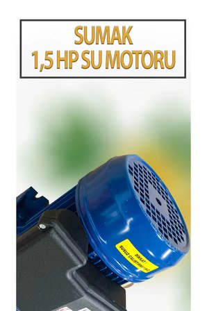 1,1 KW 1,5 HP 2820 D/D 5,8 A. Su Motoru 220 V/50 Hz Su Pompası Jet Pompası
