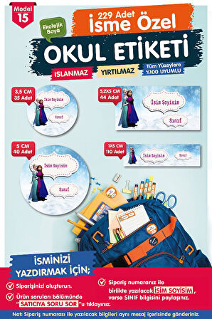 Okul Etiketi Elsa Anna Kalem Defter Etiketi Özel İsim Yazılabilen Etiket Seti - İsim Etiketi-T549-OE15